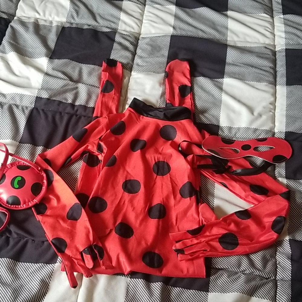 Miraculous Costume